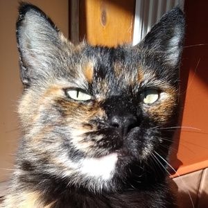 Meet your Posher, Kasey